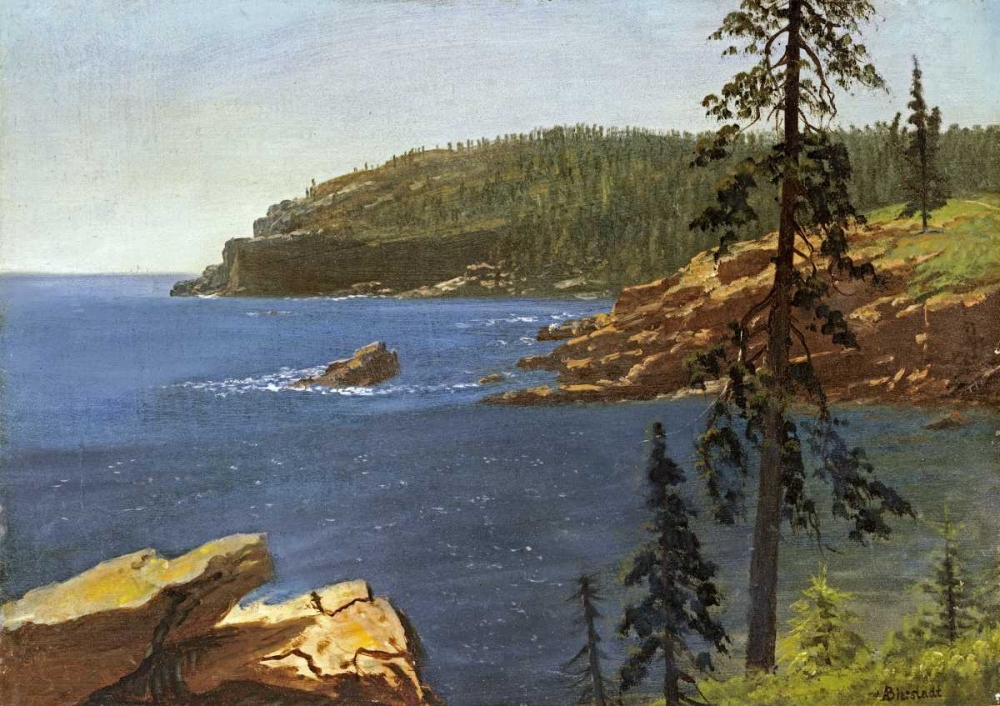 Wall Art Painting id:90209, Name: California Coast, Artist: Bierstadt, Albert