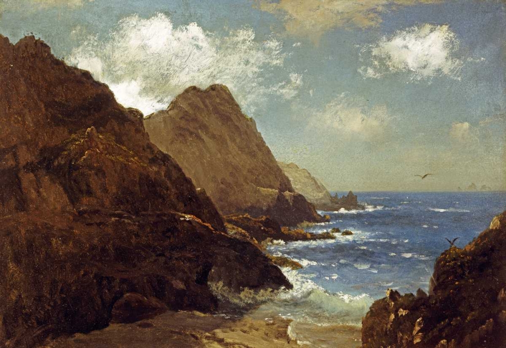 Art Print: Farallon Islands