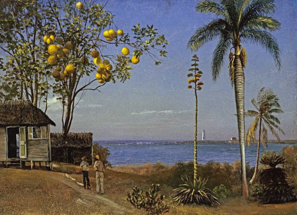 Wall Art Painting id:90215, Name: Tropical Scene, Artist: Bierstadt, Albert