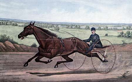 Wall Art Painting id:185967, Name: Queen of The Turf Maud S., Driven By W.W. Bair, Artist: Ives, Currier and