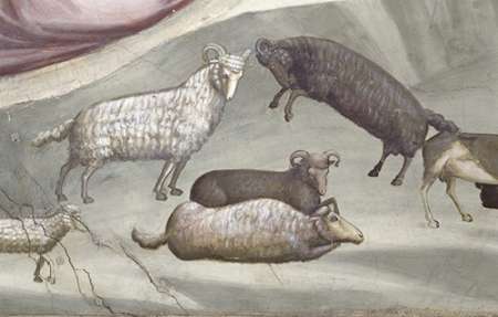 Art Print: Joachims Sacrifice - Detail