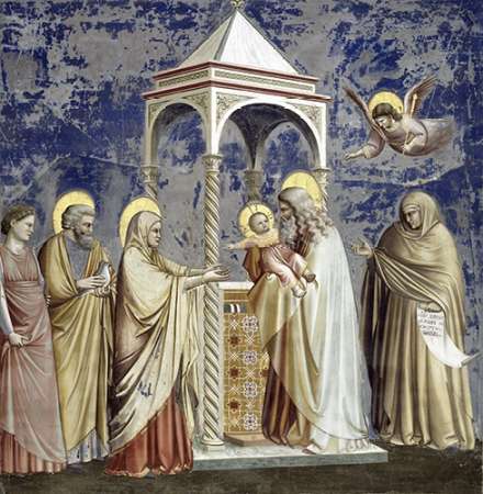 Wall Art Painting id:186180, Name: Presentation at The Temple, Artist: Giotto