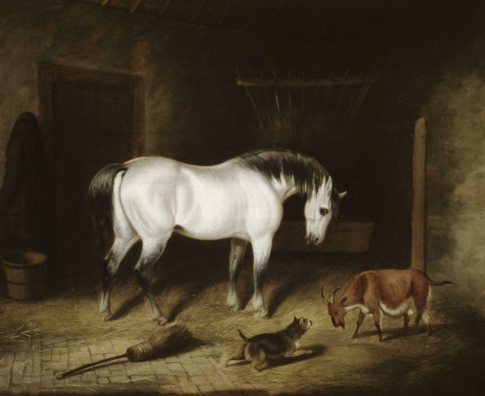 Wall Art Painting id:91148, Name: White Horse, Artist: Herring, John Frederick