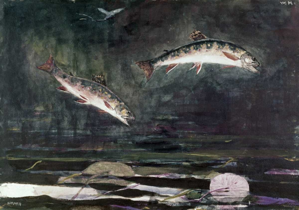 Art Print: Leaping Trout