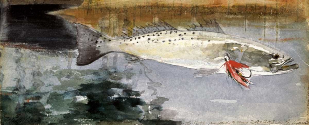 Art Print: Mrs. R. H. Watts Trout