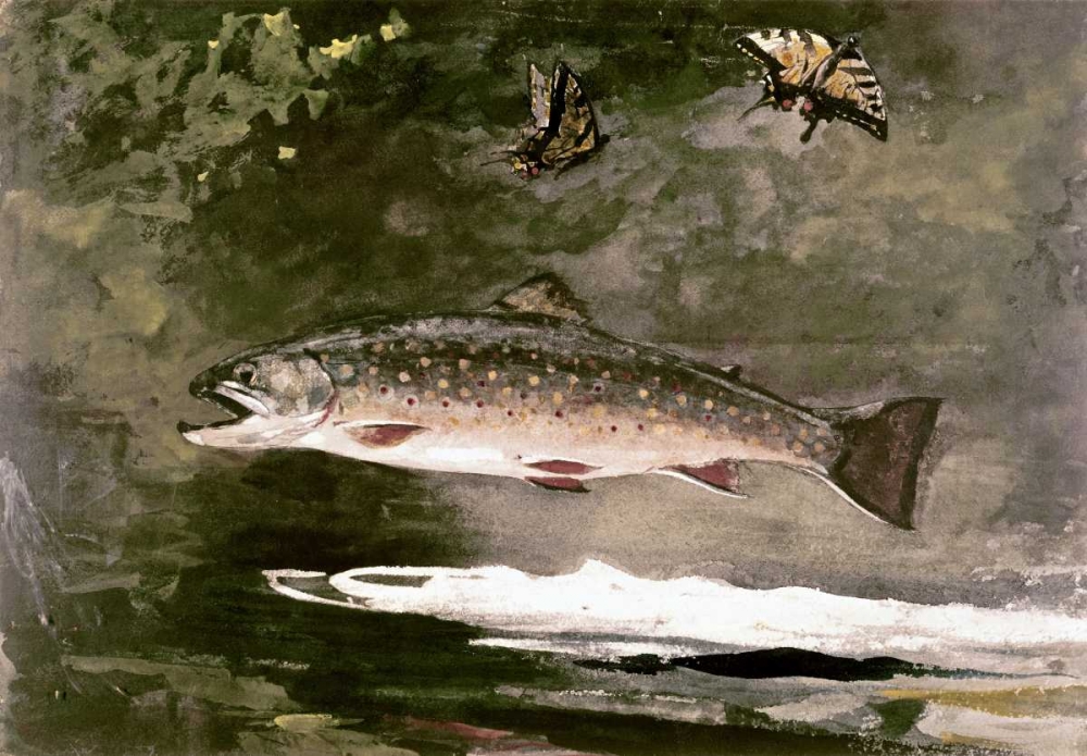 Art Print: Trout