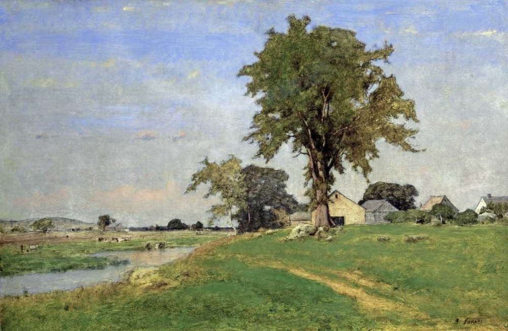 Art Print: Old Elm at Medfield