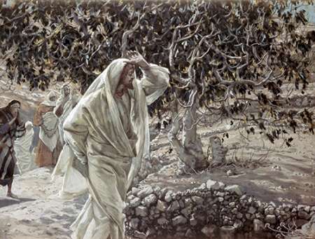 Wall Art Painting id:186451, Name: Accursed Fig Tree, Artist: Tissot, James