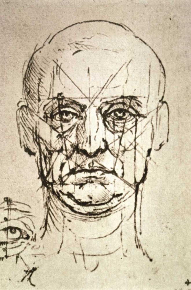 Wall Art Painting id:91945, Name: Proportions of the Face, Artist: Da Vinci, Leonardo