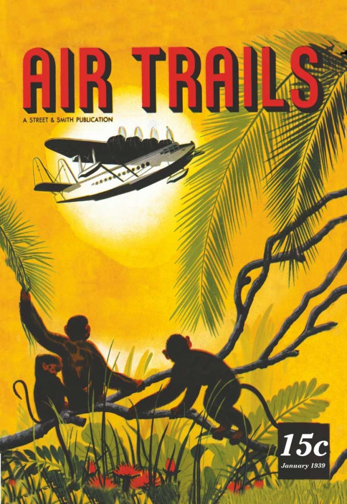 Wall Art Painting id:96605, Name: Seaplane Over the Tropics, Artist: Unknown