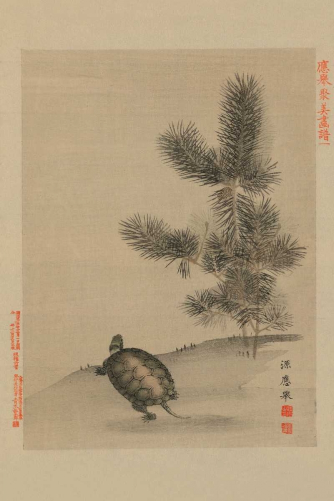 Wall art: Turtle, by Unknown