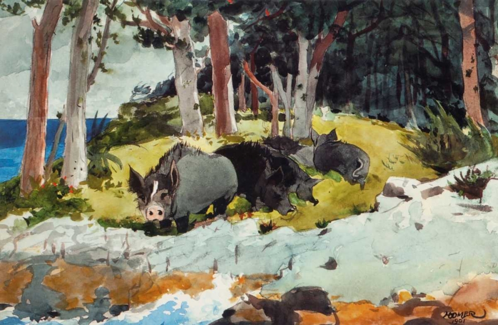 Art Print: Bermuda Settlers