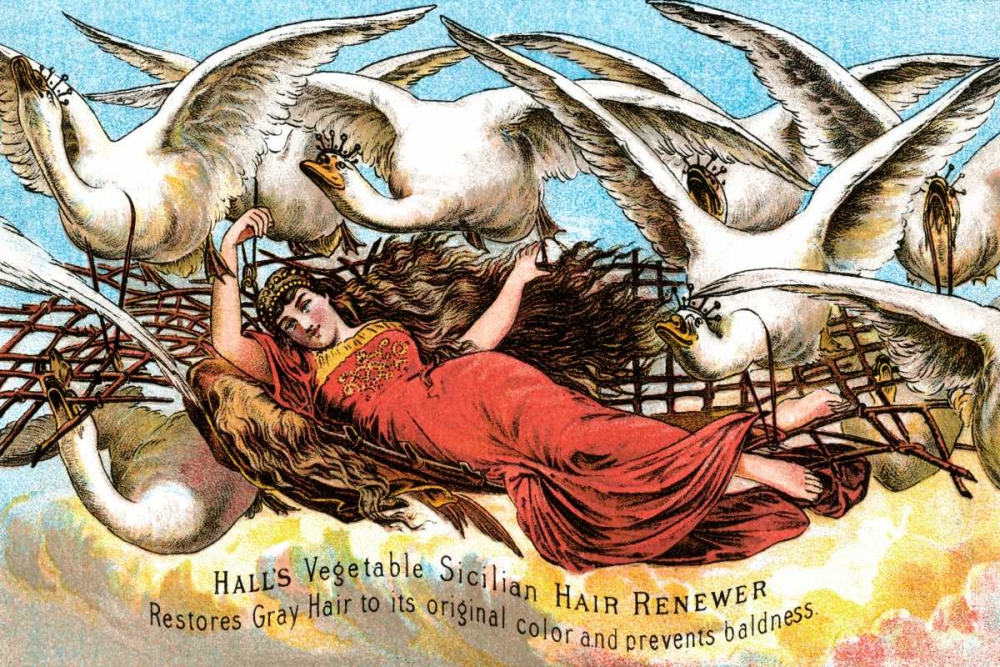 Art Print: Halls Vegetable Sicillian Hair Renewer