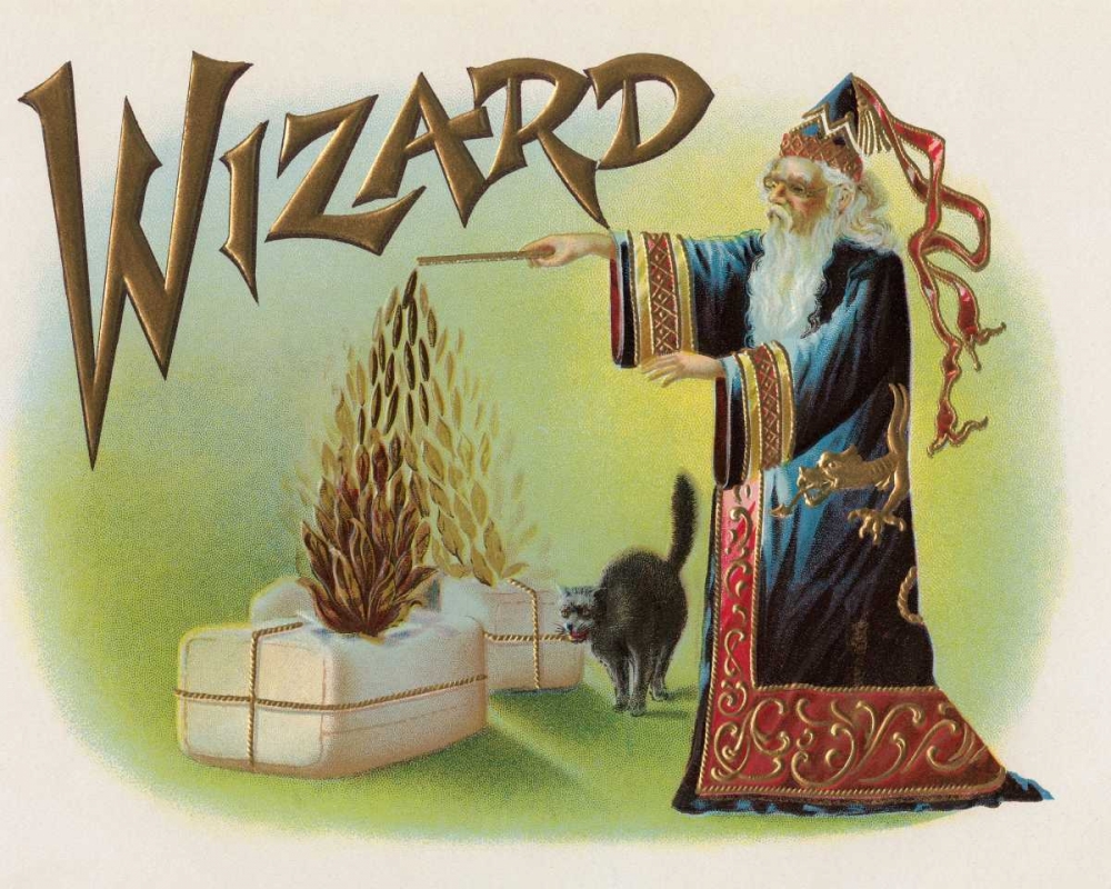 Art Print: Wizard
