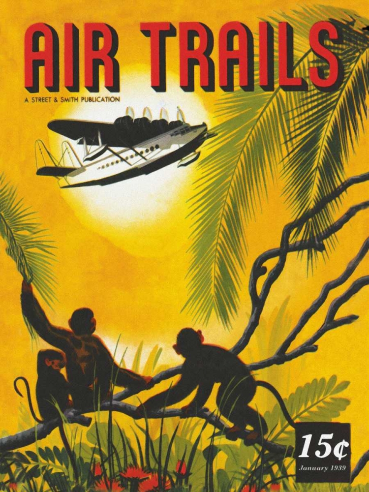 Wall Art Painting id:96719, Name: Seaplane Over the Tropics, Artist: Unknown