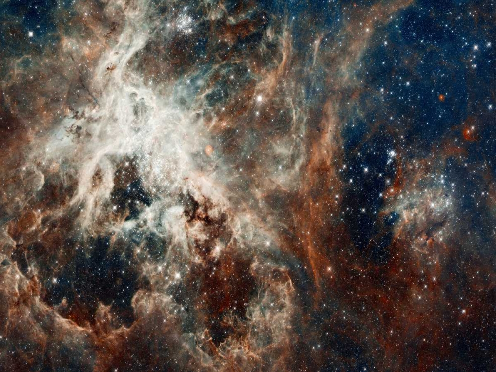 Wall Art Painting id:93057, Name: Tarantula Nebula - Compressed Version, Artist: NASA