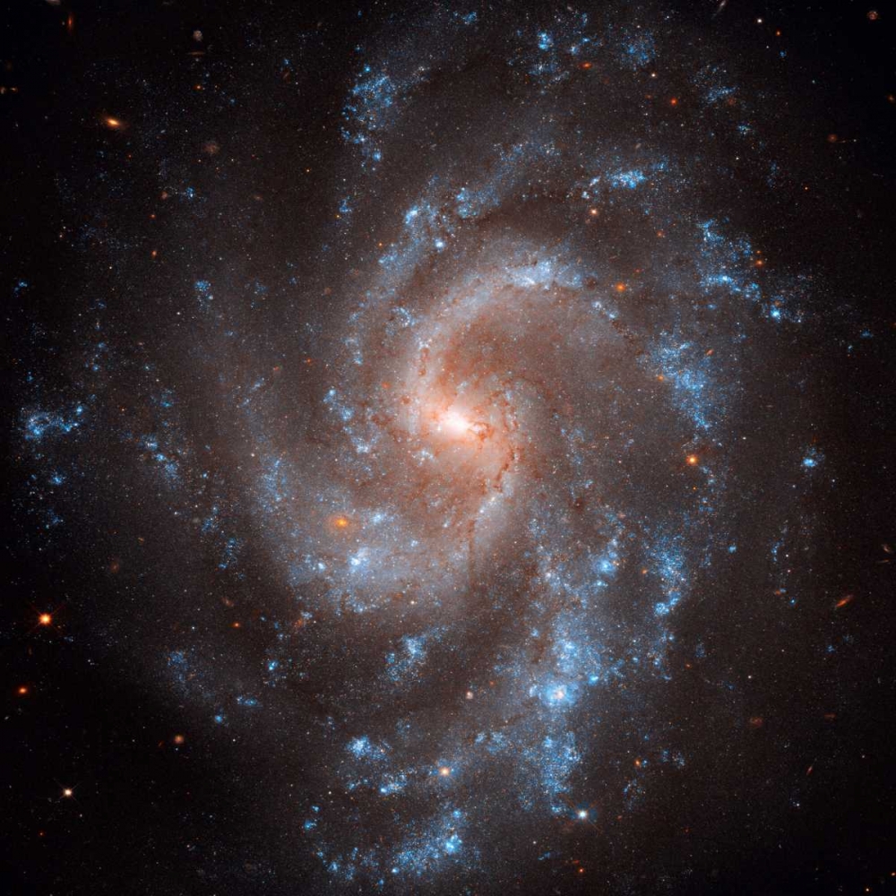 Wall art: NGC 5584, by NASA