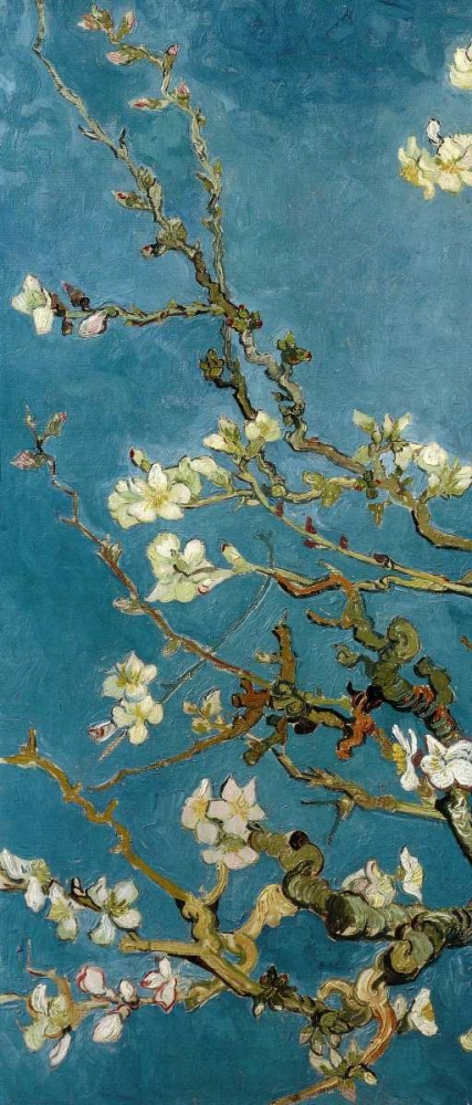 Wall art: Blossoming Almond Tree - left, by Van Gogh, Vincent