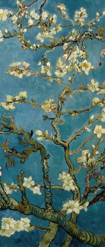 Wall art: Blossoming Almond Tree - center, by Van Gogh, Vincent