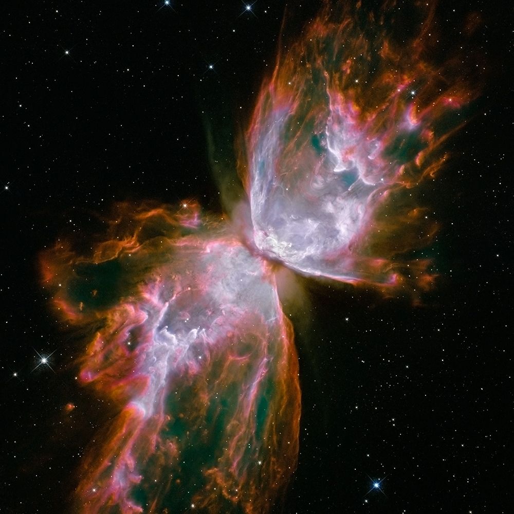 Art Print: Butterfly Nebula (square)