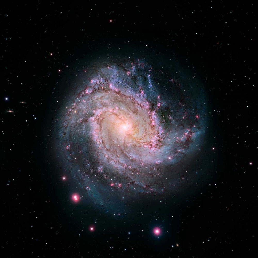 Wall art: M83 - Spiral Galaxy - Hubble-Magellan Composite, by NASA
