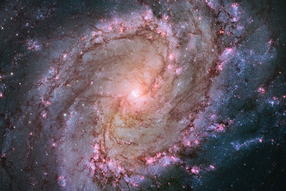 Art Print: M83 - Spiral Galaxy