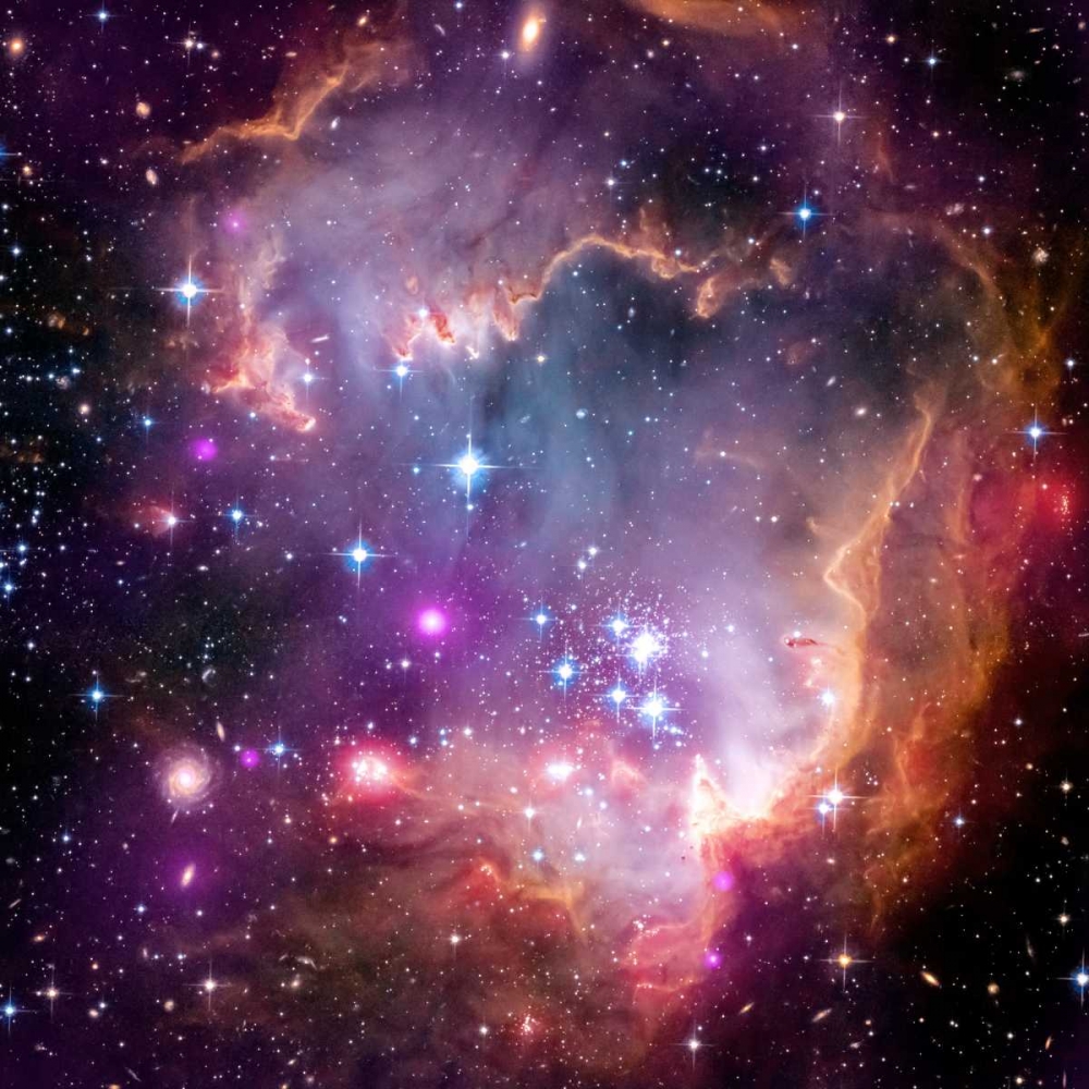 Wall Art Painting id:93094, Name: Under the Wing of the Small Magellanic Cloud, Artist: NASA