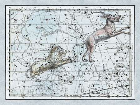 Wall Art Painting id:188676, Name: Maps of the Heavens: Leo Minor, Artist: Jamieson, Alexander
