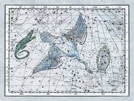 Wall Art Painting id:188681, Name: Maps of the Heavens: The Swan in the Milkyway, Artist: Jamieson, Alexander