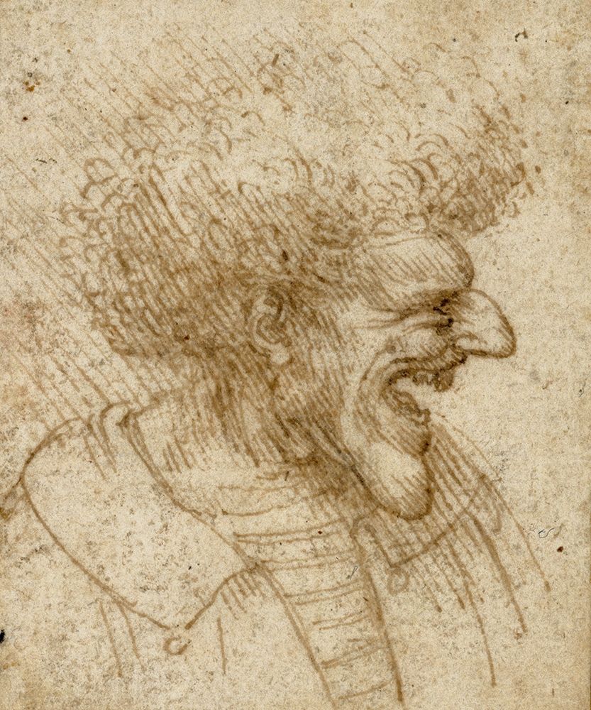 Wall Art Painting id:266314, Name: Caricature of a Man with Bushy Hair, Artist: Da Vinci, Leonardo