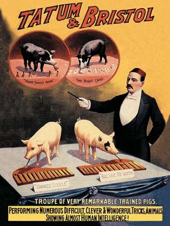 Wall Art Painting id:188765, Name: Pigs and Pork: Tatum and Bristols Troupe of Trained Pigs, Artist: Advertisement