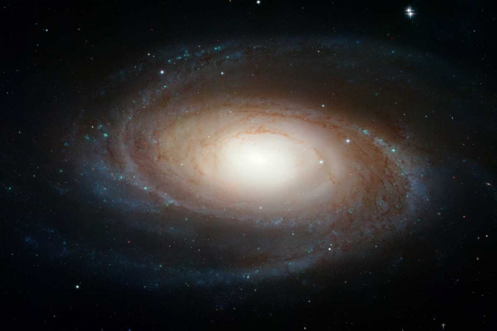 Wall art: Spiral Galaxy M81, by NASA