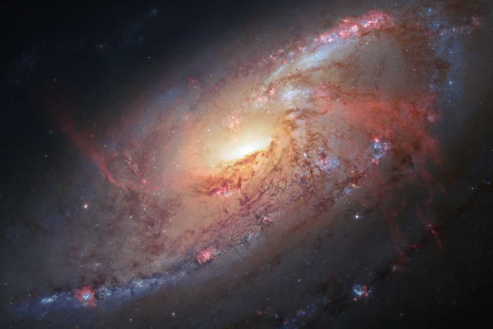 Wall art: Galaxy M106, by NASA