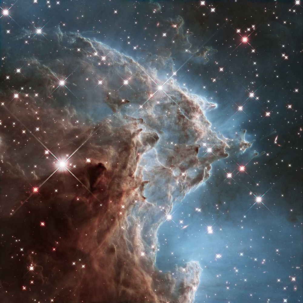 Wall Art Painting id:93186, Name: Infrared View of NGC 2174, Artist: NASA