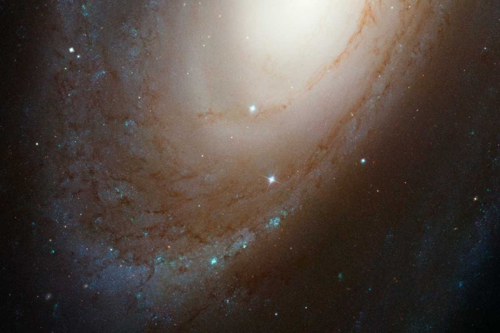 Wall art: HST ACS Image of M81, by NASA