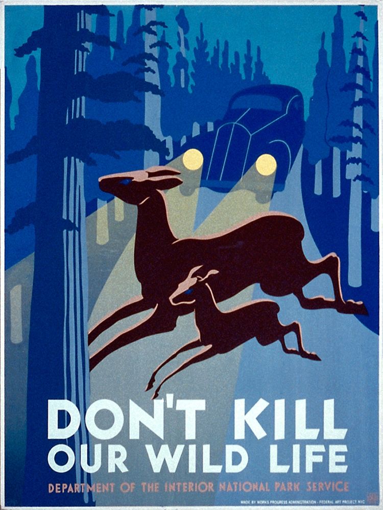 Art Print: Dont kill our wild life
