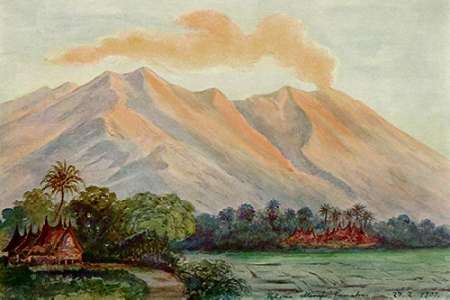 Wall Art Painting id:189036, Name: Riesen-Myrte von Ceylon Urwald von Horton-Plains, Artist: Haeckel, Ernst