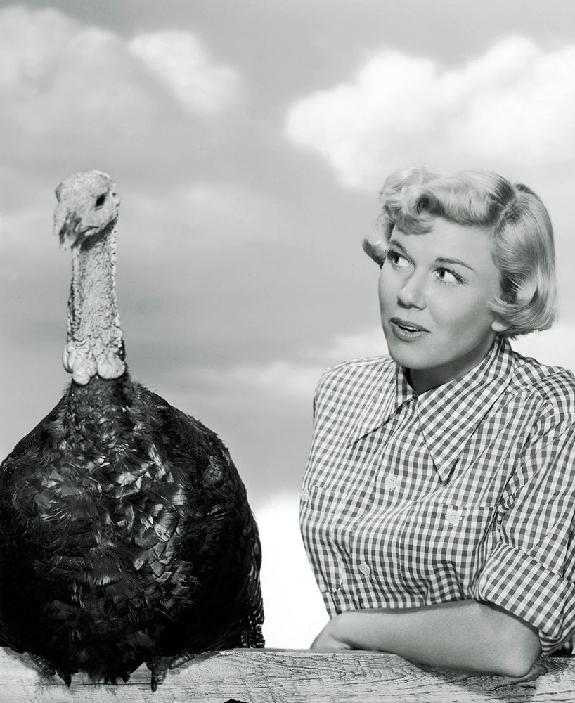 Wall Art Painting id:272481, Name: Doris Day with a Thanksgiving Turkey, Artist: Hollywood Photo Archive