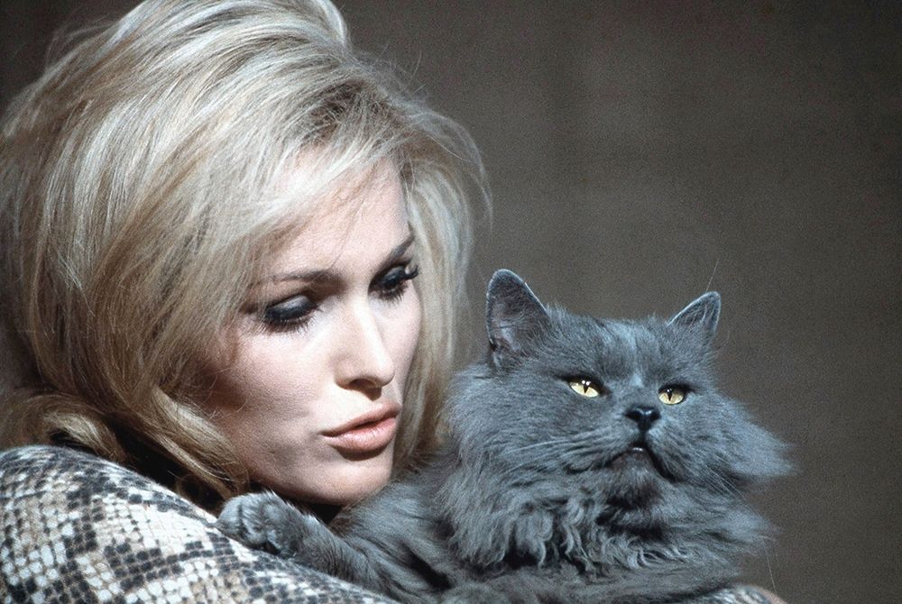 Art Print: Ursula Andress