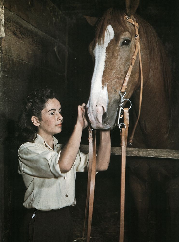 Wall Art Painting id:273775, Name: National Velvet - Elizabeth Taylor, Artist: Hollywood Photo Archive