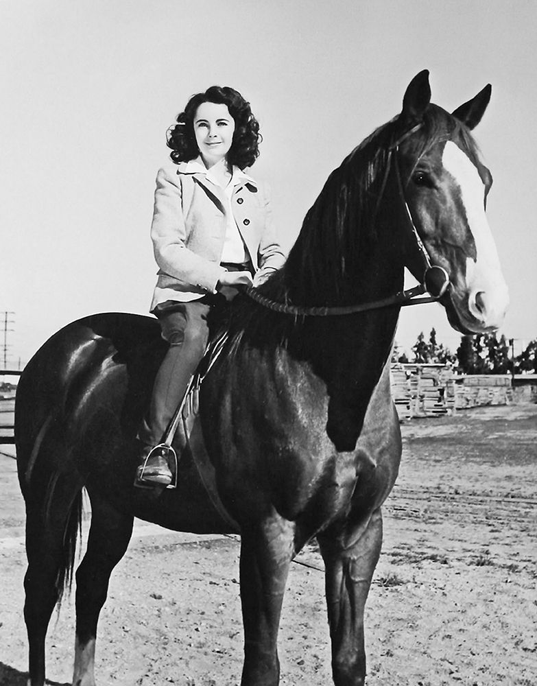 Wall art: National Velvet - Elizabeth Taylor, by Hollywood Photo Archive