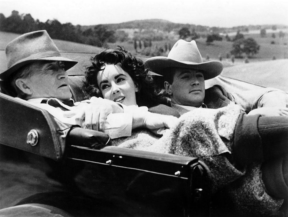 Wall art: Elizabeth Taylor, by Hollywood Photo Archive