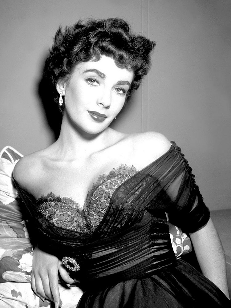 Wall Art Painting id:273857, Name: Elizabeth Taylor, Artist: Hollywood Photo Archive