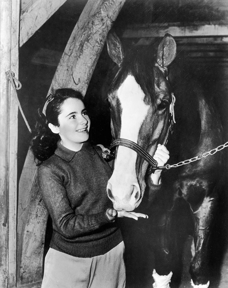 Wall Art Painting id:273878, Name: National Velvet - Elizabeth Taylor, Artist: Hollywood Photo Archive