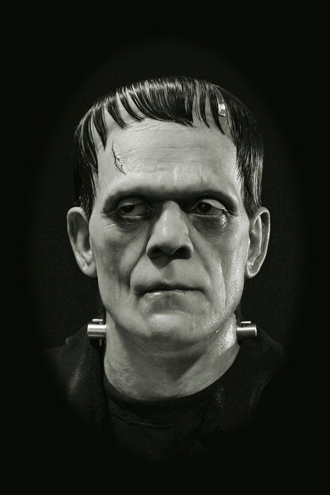 Wall Art Painting id:274017, Name: Boris Karloff - Frankenstein, Artist: Hollywood Photo Archive