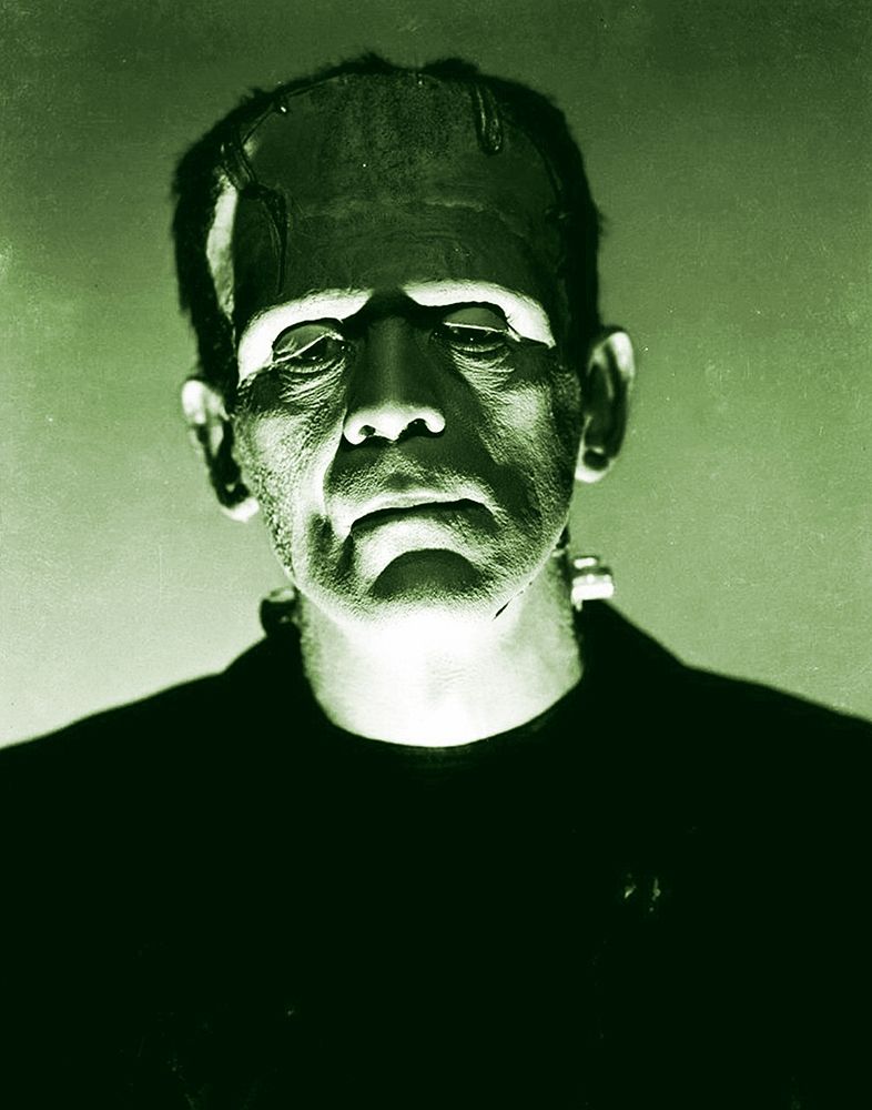 Wall Art Painting id:274019, Name: Boris Karloff - Frankenstein, Artist: Hollywood Photo Archive