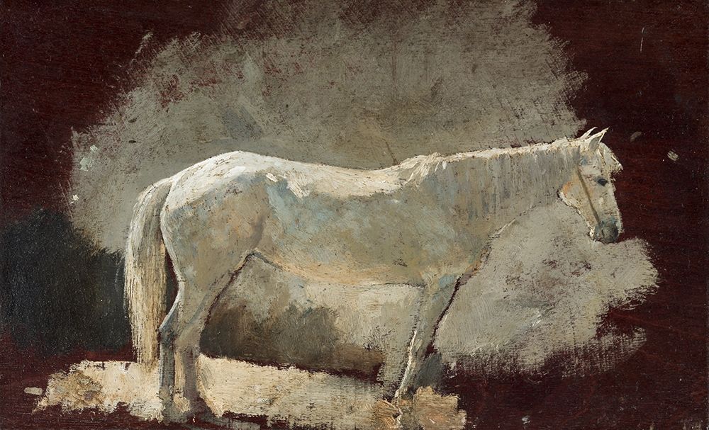 Art Print: White Mare