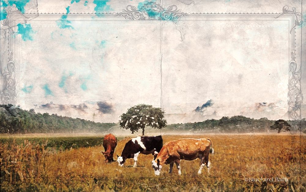 Art Print: Vintage Grazing Cattle   