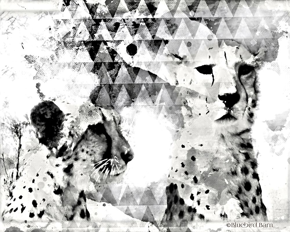 Wall art: Modern Black And White Cheetahs, by Bluebird Barn