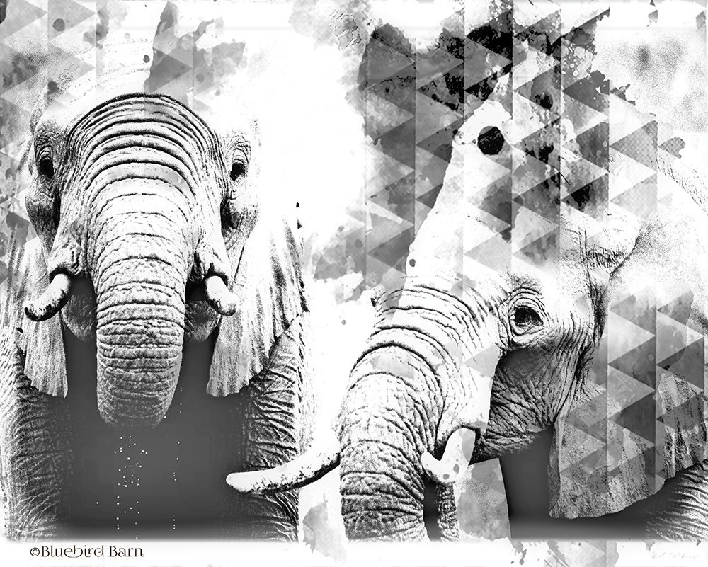 Wall art: Modern Black And White Elephants, by Bluebird Barn